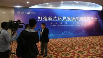 今日头条海沧科创园,创新引擎驱动，打造智慧产业新高地