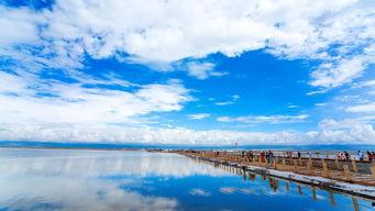 泉港必去网红景点排名,解锁泉港旅游新地标