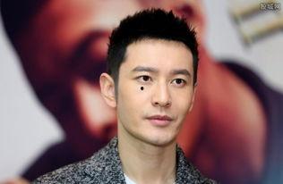 杜姓明星,璀璨星河中的璀璨明珠