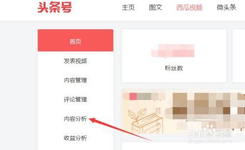 头条号怎么查询视频,快速掌握视频制作幕后