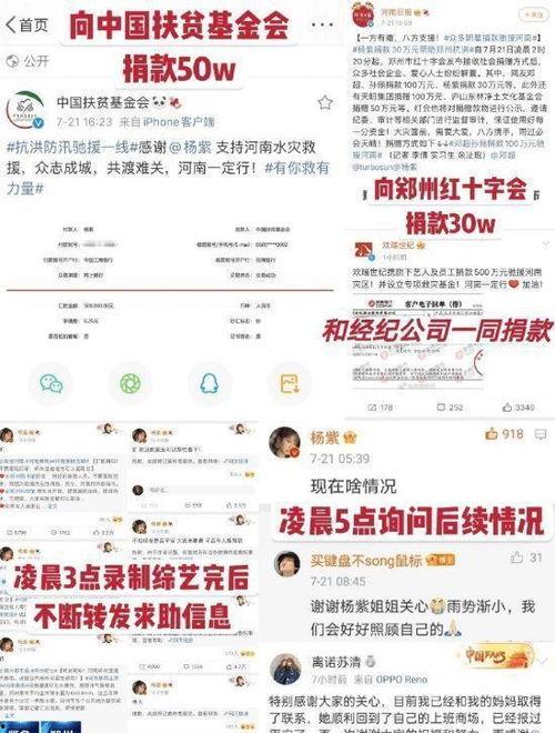 全球文体明星捐款排名,全球捐款排行揭晓！”