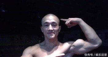 一龙评价功夫明星,传承与创新的火花