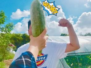 带你吃瓜消防,带你探秘消防界的“吃瓜”趣事