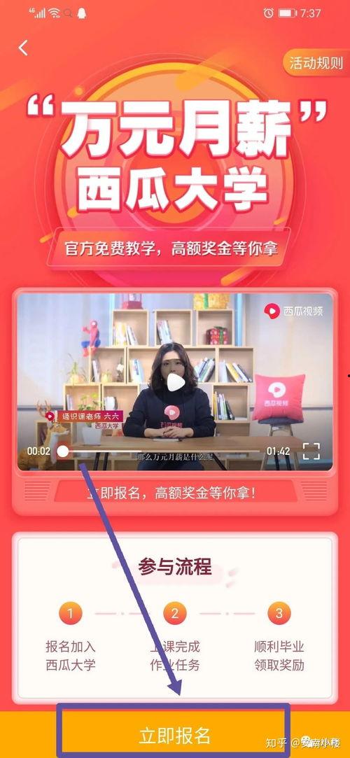 参加头条活动可以加v,解锁精彩人生新篇章】