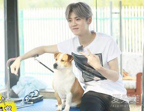 约吧大明星2鹿晗,鹿晗闪耀舞台，魅力四溢