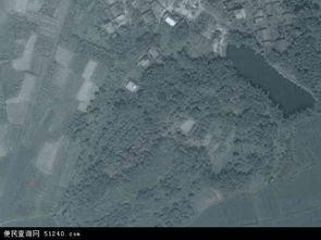 阳江红丰镇头条,聚焦发展新动态，共绘乡村振兴美好蓝图