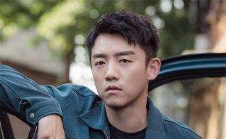 大陆明星王,从演艺新星到实力派演员的蜕变之路