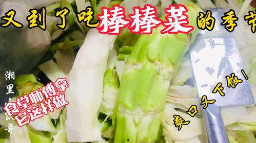 潮安教师吃瓜,揭秘校园背后的“瓜田”风云