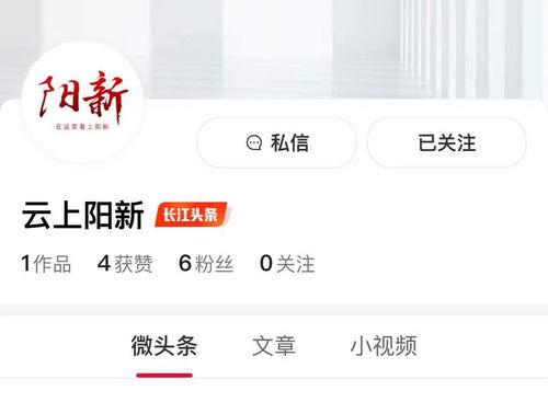 新阳今日头条最新图片,聚焦最新热点，图片揭示时代脉搏”