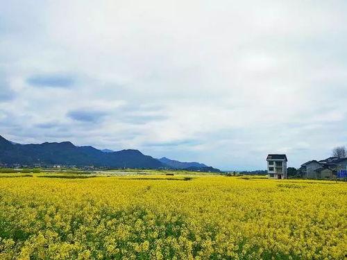 秀山县清溪街道新闻头条,聚焦发展新篇章，共绘美好未来