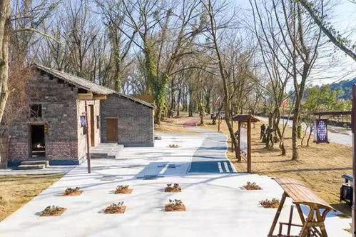 莲花县男网红有哪些,网络红人风采展现