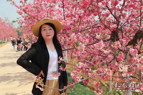 红樱栗网,揭秘网络世界的魅力与挑战