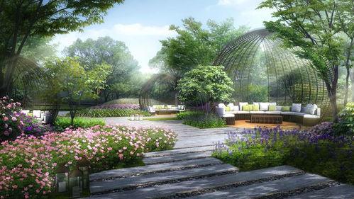 滨湖万丽 爆料事件视频