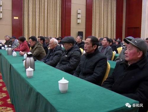 庆云新闻头条大棚房,揭秘大棚房背后的生态农业新篇章