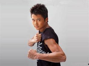 明星 武术冠军,力与美的完美融合