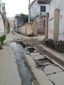 河南鲁山爆料最新消息今天,火灾事故引发社会关注