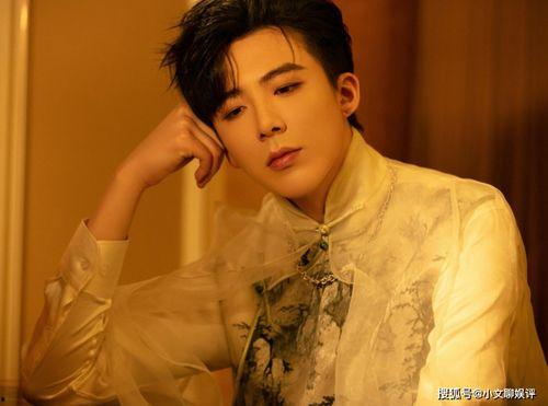 网红天生爱唱歌的男孩,网络红人的音乐之旅