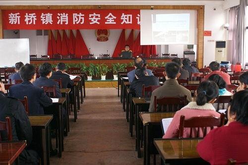 柳城新桥镇新闻头条,聚焦乡村振兴新篇章