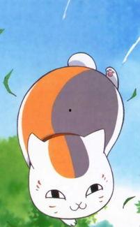 猫咪老师的瓜,揭秘宠物界的趣味故事