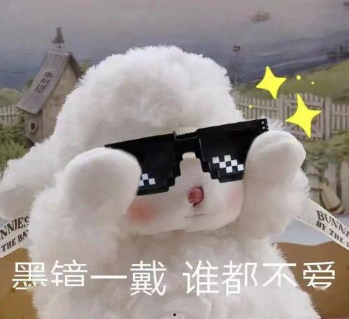 吃瓜小羊表情包下载,趣味横生的网络潮流