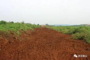 西岭山头条,探寻自然奇观，揭秘生态秘境